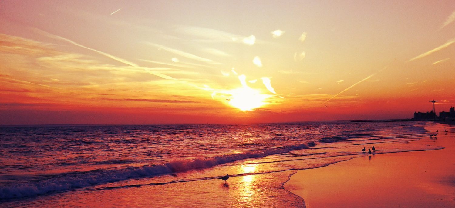 Paradise. Found.