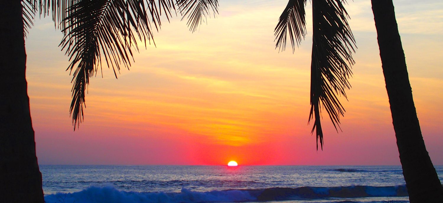 Paradise. Found.